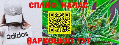 гидра Заводоуковск