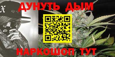 гидра Заводоуковск