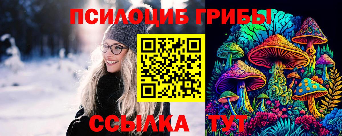 Псилоцибиновые грибы Cubensis  даркнет сайт  Мирный  Вход с VPN 